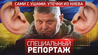 Специальный репортаж. Сами с ушами: утечки из Киева