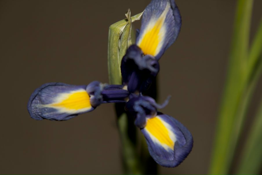 Rrrr Gg фото №1