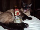 Фотография Сыресина Анатолия