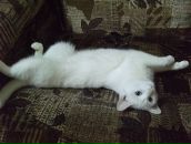 Фотография Семёновой Наташи