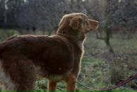 Эрика Быстрова фотография #17 (источник - https://vk.com/id111663)