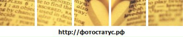 Евгения Рысева фотография #25 (источник - https://vk.com/id13180000)