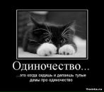 Фотография Лойко Светланы