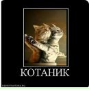 Вероніка Токар фотография #32 (источник - https://vk.com/id174974224)