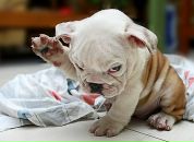 Фотография Серовой Анны