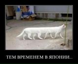 Фотография Гаврилюка Влада