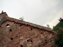 Стасік Кутліяров фотография #39 (источник - https://vk.com/id8177303)