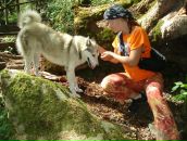 Фотография  