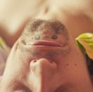 Фотография Чубая Бориса