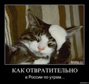 Фотография Почекутова Александра