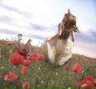 Фотография Симоновой Инны