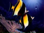 Фотография Теленен Юлии