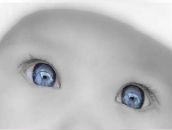 Александр Гладких фотография #17 (источник - https://vk.com/id2987325)