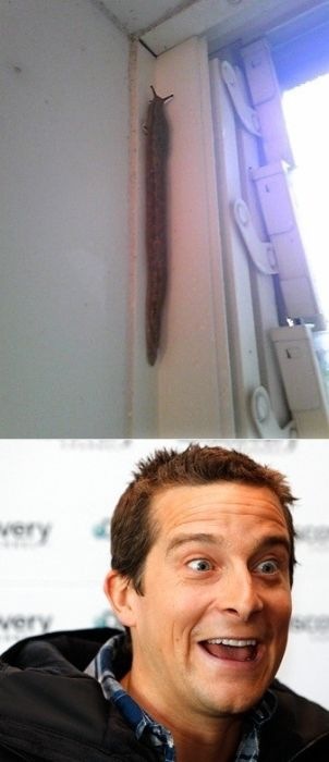 Дмитрий Беляев фотография #45