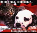 Іра Тинко фотография #13 (источник - https://vk.com/id159527877)
