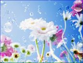 Галічка Тіцька фотография #27 (источник - https://vk.com/id75732140)