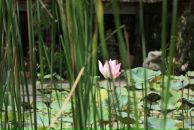 Фотография Варфоломеевой Евгении