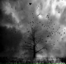 Фотография Перфильева Артема