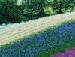 Аня Діміч фотография #26 (источник - https://vk.com/id134268992)
