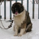 Фотография Передерко Ольги