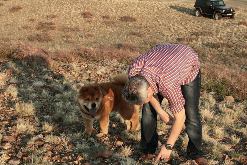 Orlov Ivan фотография #50