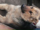 Іван Розуменко фотография #47 (источник - https://vk.com/id72132049)