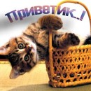 Міша Романюк фотография #31 (источник - https://vk.com/id80403807)