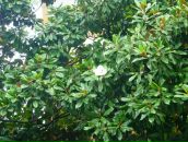 Фотография Верховой Ирины