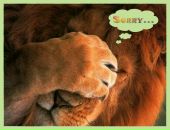 Фотография Бажина Владислава