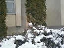 Богдана Лозінська фотография #8 (источник - https://vk.com/id160816570)