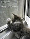 Орест Вігура фотография #5 (источник - https://vk.com/id168734039)