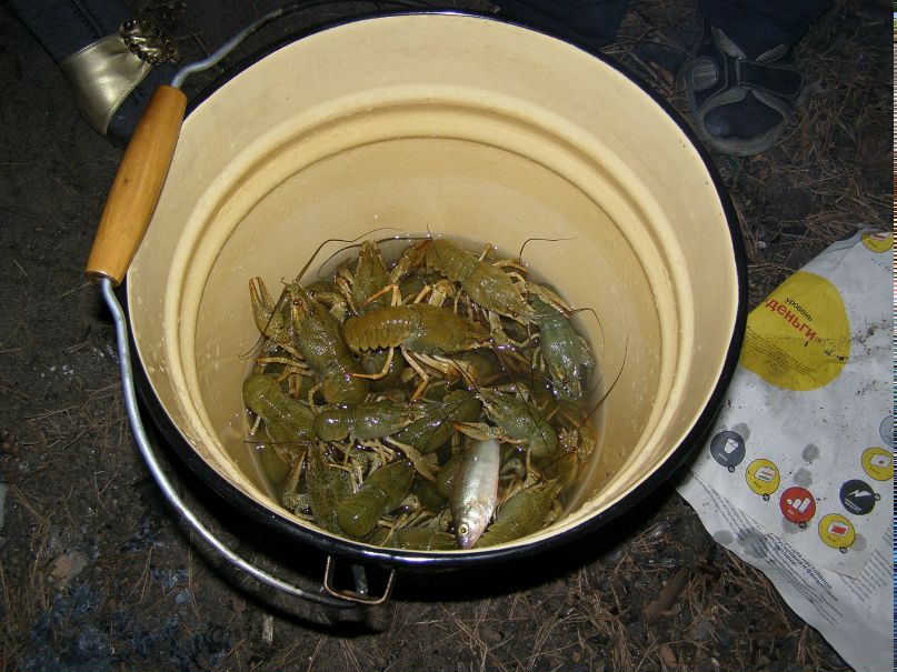 Александр Лёвин фотография #38