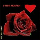 Міша Хромов фотография #9 (источник - https://vk.com/id140106326)