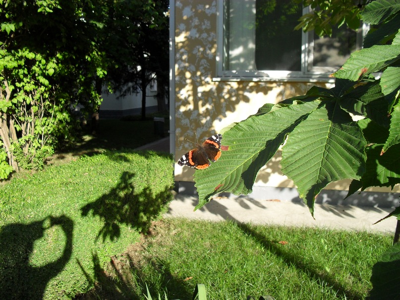 Ольга Вавриш фотография #8