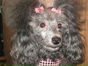 Фотография Дроздовой Олеси