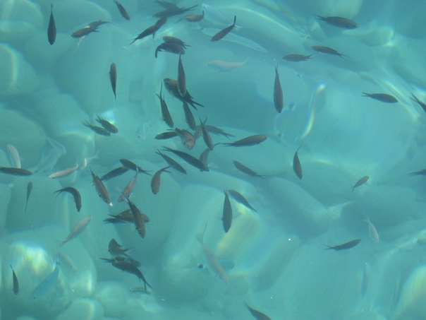 №10, Женя Строганов №10, Женя Строганов