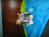 Соломія Марусяк фотография #19 (источник - https://vk.com/id98216960)