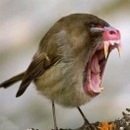 Діма Ярмолiнський фотография #2 (источник - https://vk.com/id145862042)