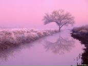 Юлія Виклинець фотография #20 (источник - https://vk.com/id120598374)