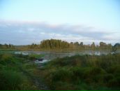 Фотография Sidorova Ekaterina