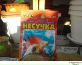 Славік Палканинець фотография #7 (источник - https://vk.com/id81011160)