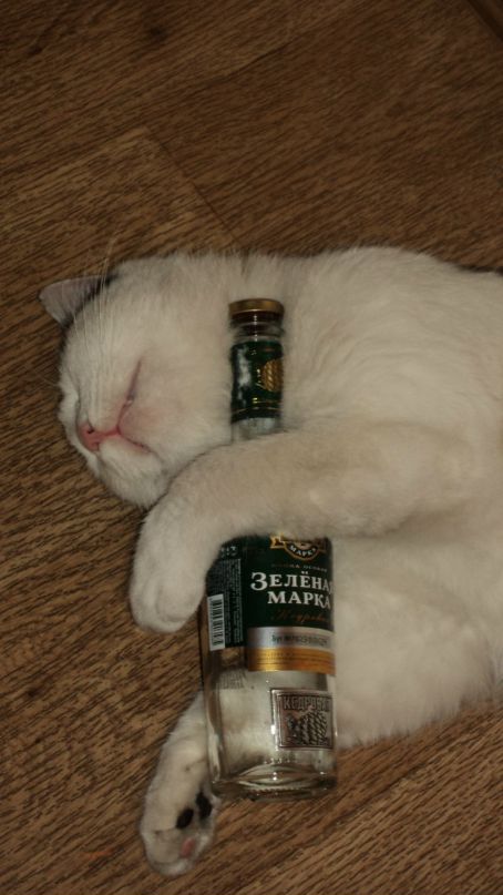 Андрей Савельев фотография #5