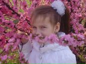 Ніла Підвисоцька фотография #37 (источник - https://vk.com/id92707677)