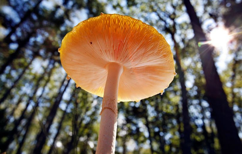 Рустам Валиуллин фотография #22