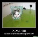 Олексій Фарина фотография #43 (источник - https://vk.com/id57227092)