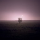 Міша Мельник фотография #44 (источник - https://vk.com/id155349561)