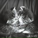 Іра Гуменна фотография #18 (источник - https://vk.com/id160272945)