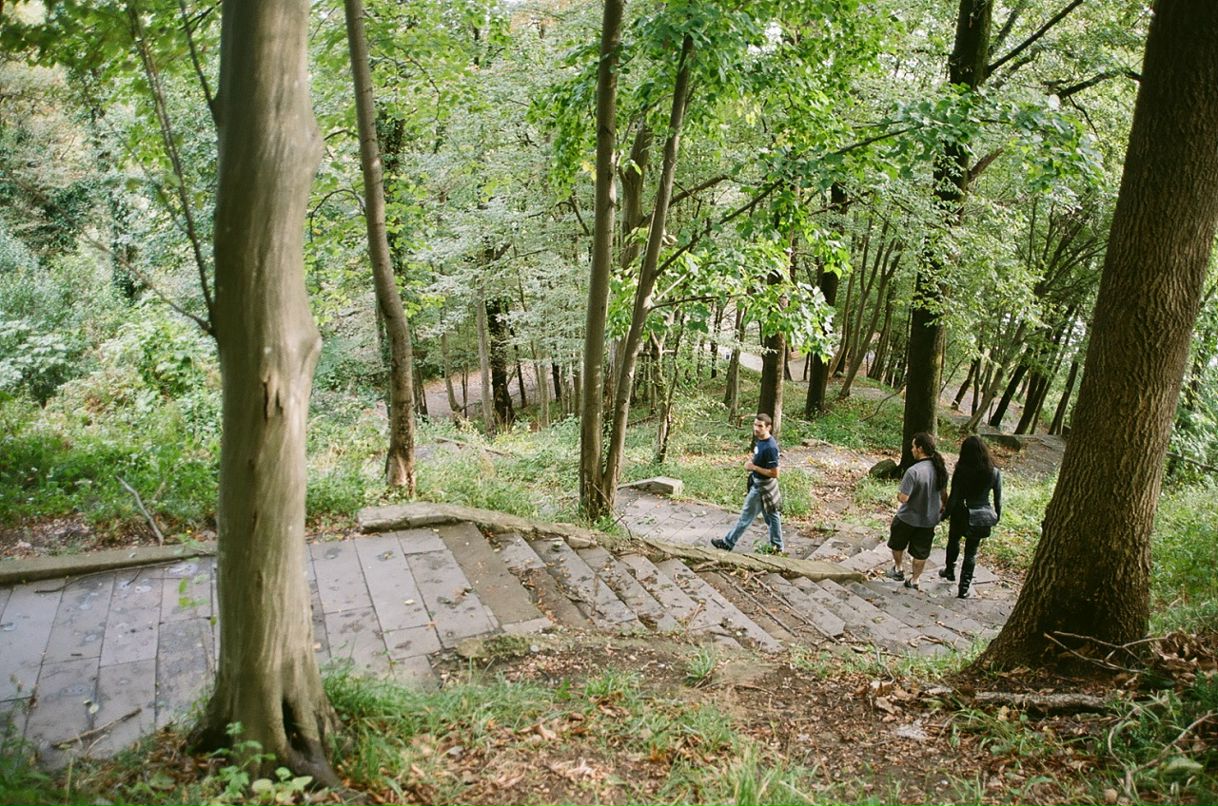 Папочка Бэндер фотография #29