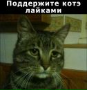 Кристіночка Шпакович фотография #12 (источник - https://vk.com/id156519513)