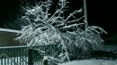 Дмитрий Лавриненко фотография #28 (источник - https://vk.com/id21868023)